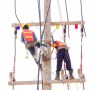 SWMS0096.jpg